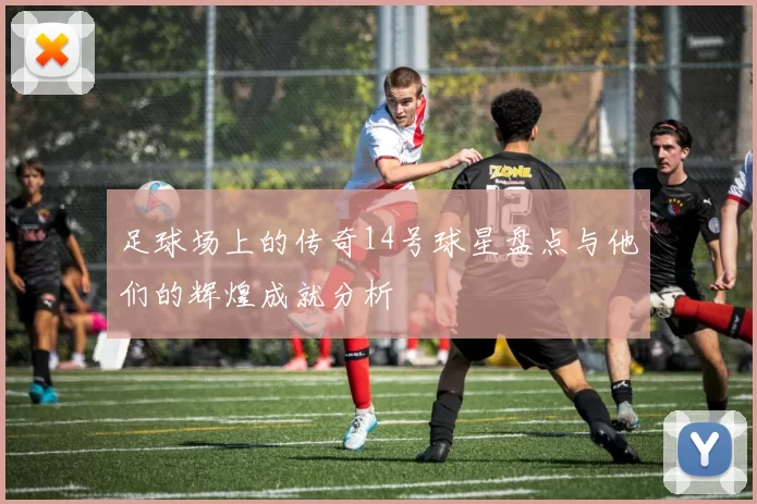 足球场上的传奇14号球星盘点与他们的辉煌成就分析