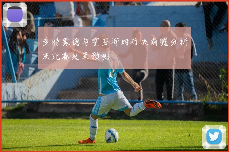 多特蒙德与霍芬海姆对决前瞻分析及比赛结果预测