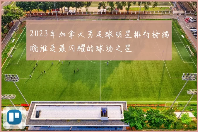 2023年加拿大男足球明星排行榜揭晓谁是最闪耀的球场之星