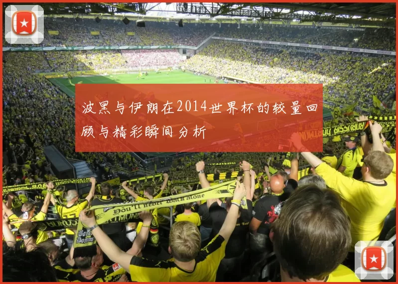 波黑与伊朗在2014世界杯的较量回顾与精彩瞬间分析