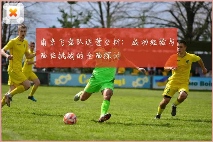 南京飞盘队运营分析：成功经验与面临挑战的全面探讨