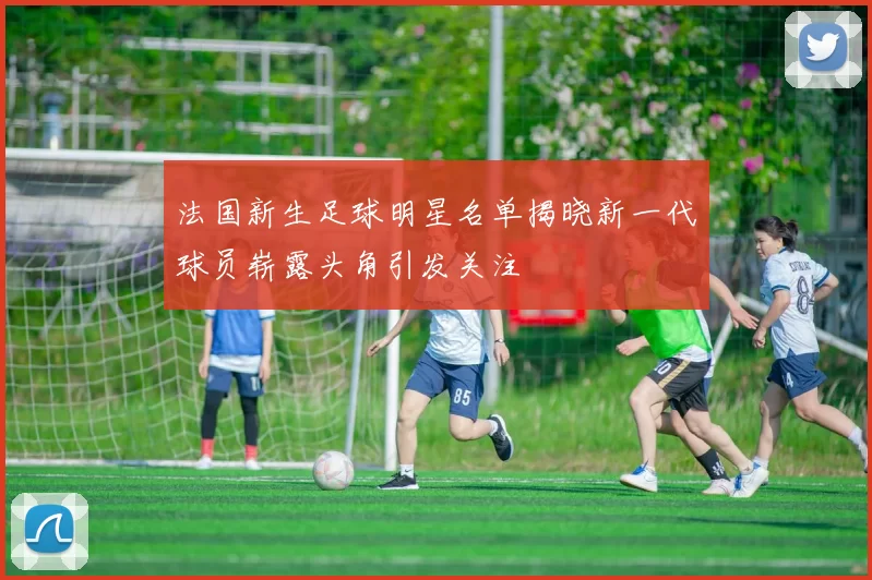 法国新生足球明星名单揭晓新一代球员崭露头角引发关注