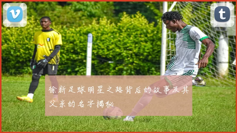 徐新足球明星之路背后的故事及其父亲的名字揭秘