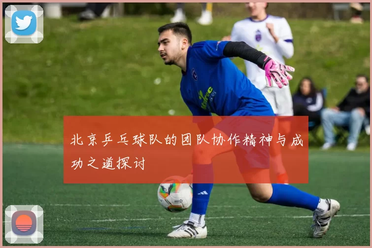 北京乒乓球队的团队协作精神与成功之道探讨