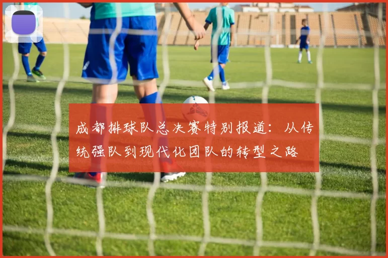 成都排球队总决赛特别报道：从传统强队到现代化团队的转型之路