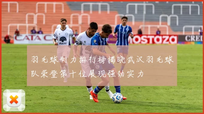 羽毛球耐力排行榜揭晓武汉羽毛球队荣登第十位展现强劲实力