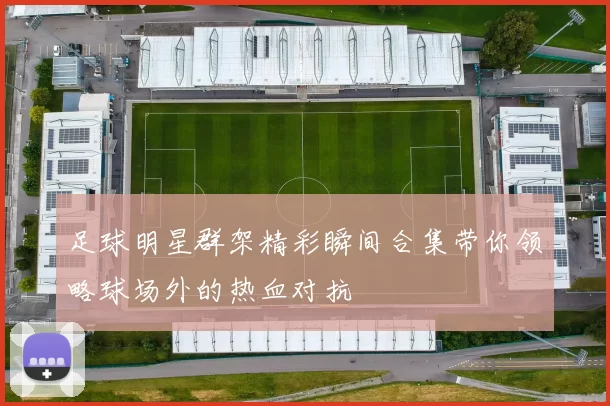 足球明星群架精彩瞬间合集带你领略球场外的热血对抗