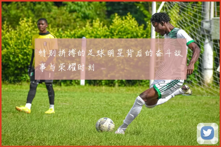特别拼搏的足球明星背后的奋斗故事与荣耀时刻