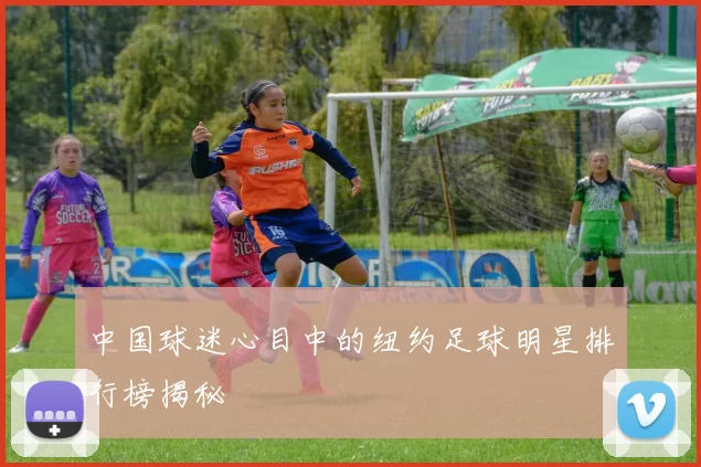 中国球迷心目中的纽约足球明星排行榜揭秘