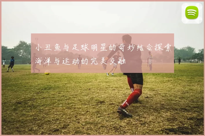 小丑鱼与足球明星的奇妙结合探索海洋与运动的完美交融