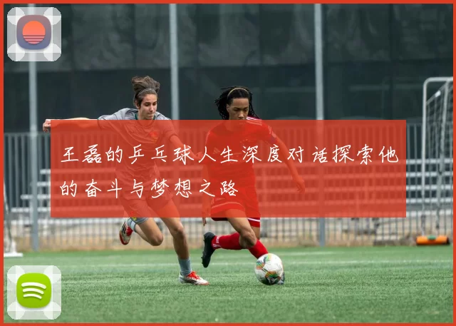 王磊的乒乓球人生深度对话探索他的奋斗与梦想之路
