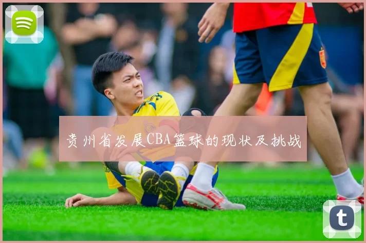 贵州省发展CBA篮球的现状及挑战