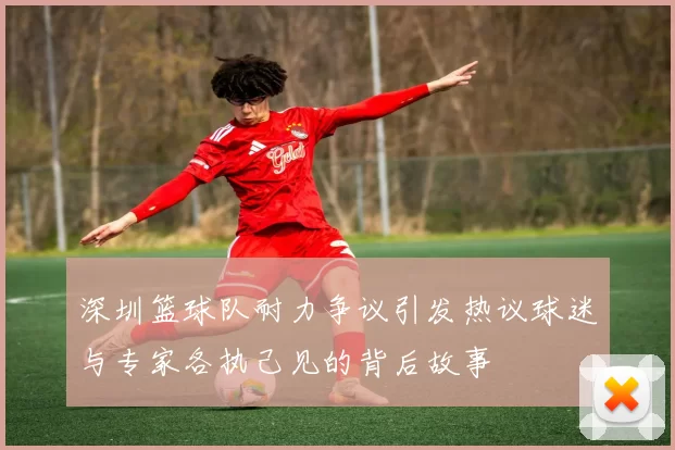 深圳篮球队耐力争议引发热议球迷与专家各执己见的背后故事