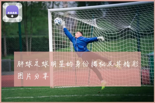胖球足球明星的身份揭秘及其精彩图片分享