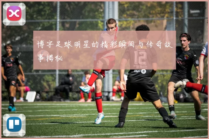 博字足球明星的精彩瞬间与传奇故事揭秘