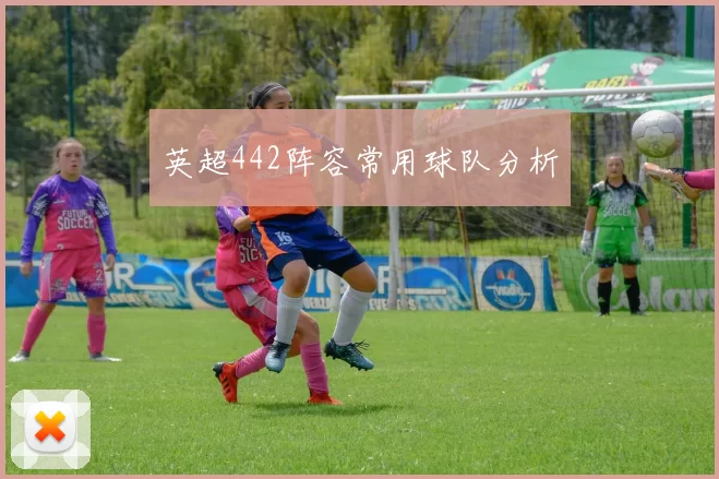英超442阵容常用球队分析