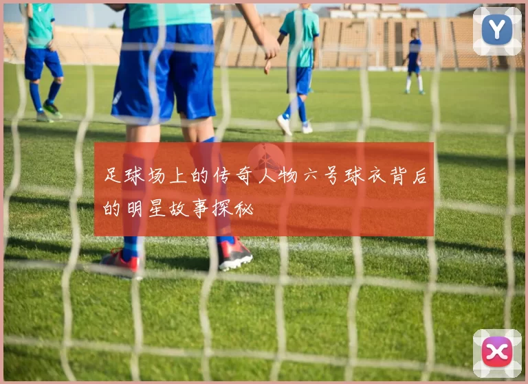 足球场上的传奇人物六号球衣背后的明星故事探秘