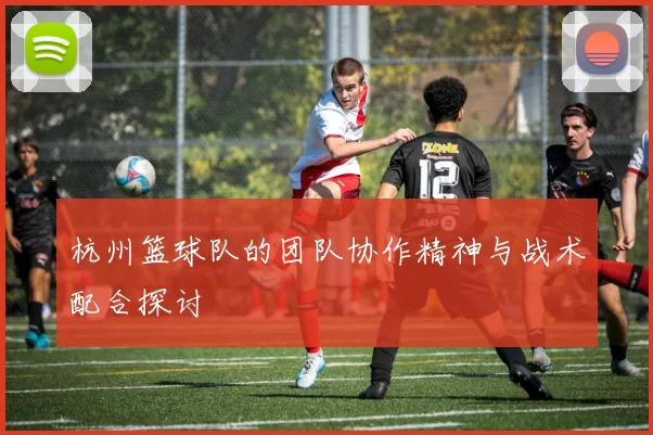 杭州篮球队的团队协作精神与战术配合探讨