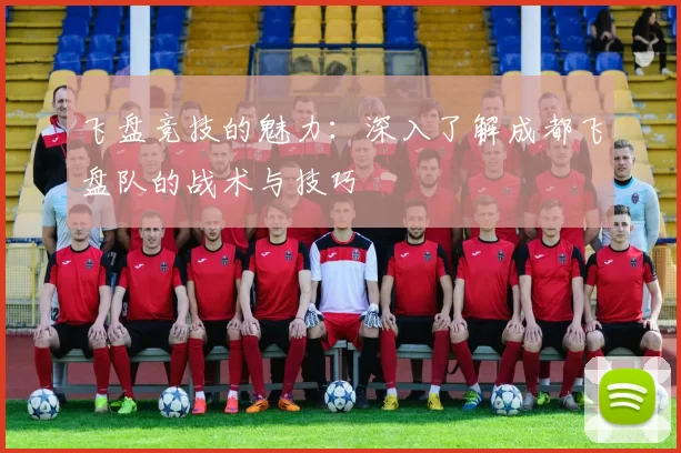 飞盘竞技的魅力：深入了解成都飞盘队的战术与技巧