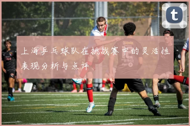 上海乒乓球队在挑战赛中的灵活性表现分析与点评
